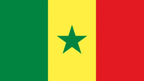 鄭智將暫離中超投身教練員培訓課程